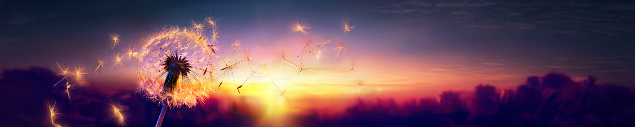 Cover photo for Mariana Olvera Cotto's Obituary