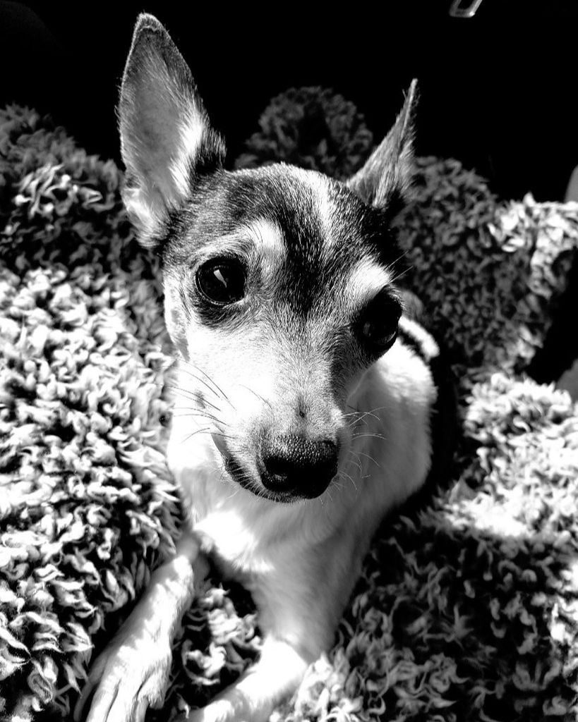 Maggie