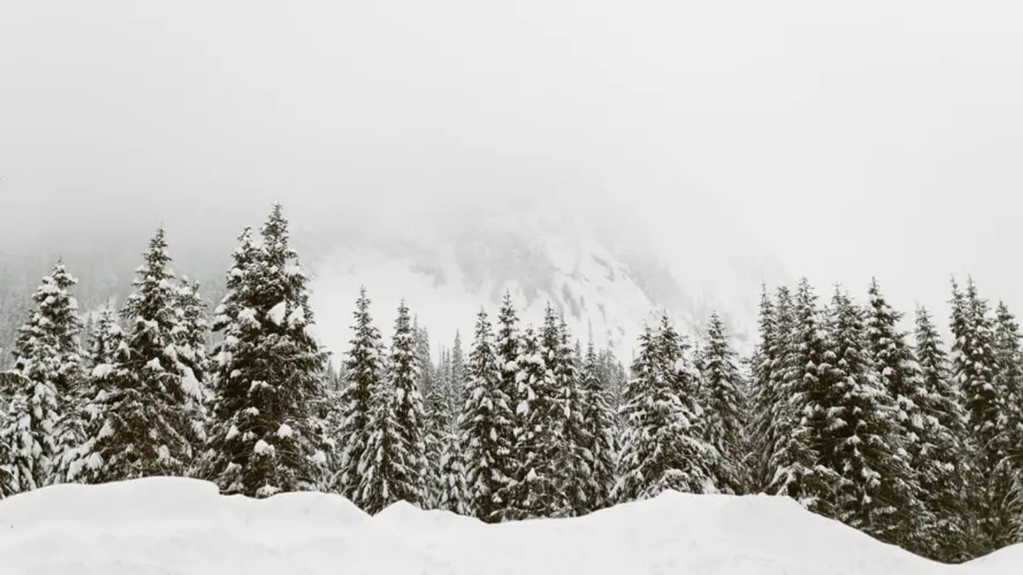 Cover for Charles Arndt, Jr.'s Obituary