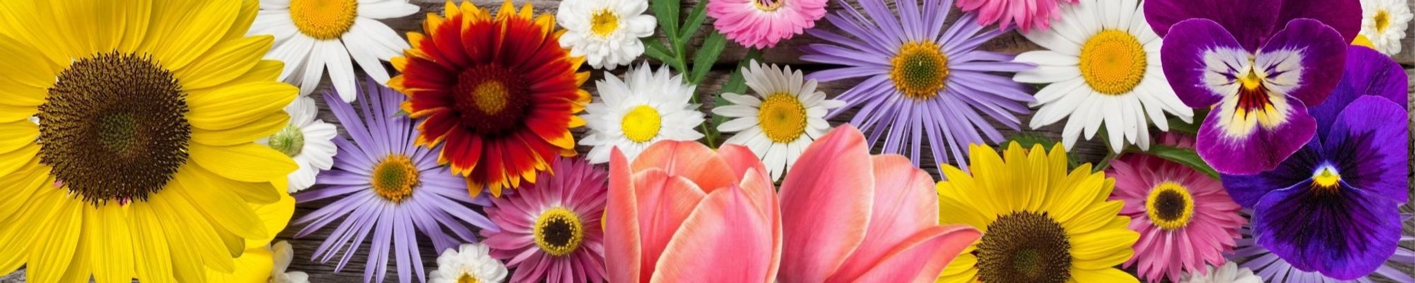 Cover for Mariland Louise Jenkins's Obituary