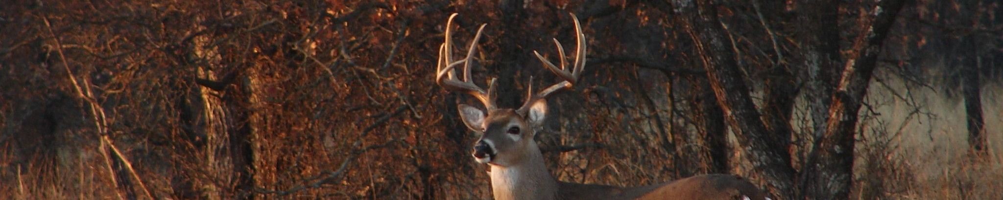 Cover for Mark W. Blackman's Obituary