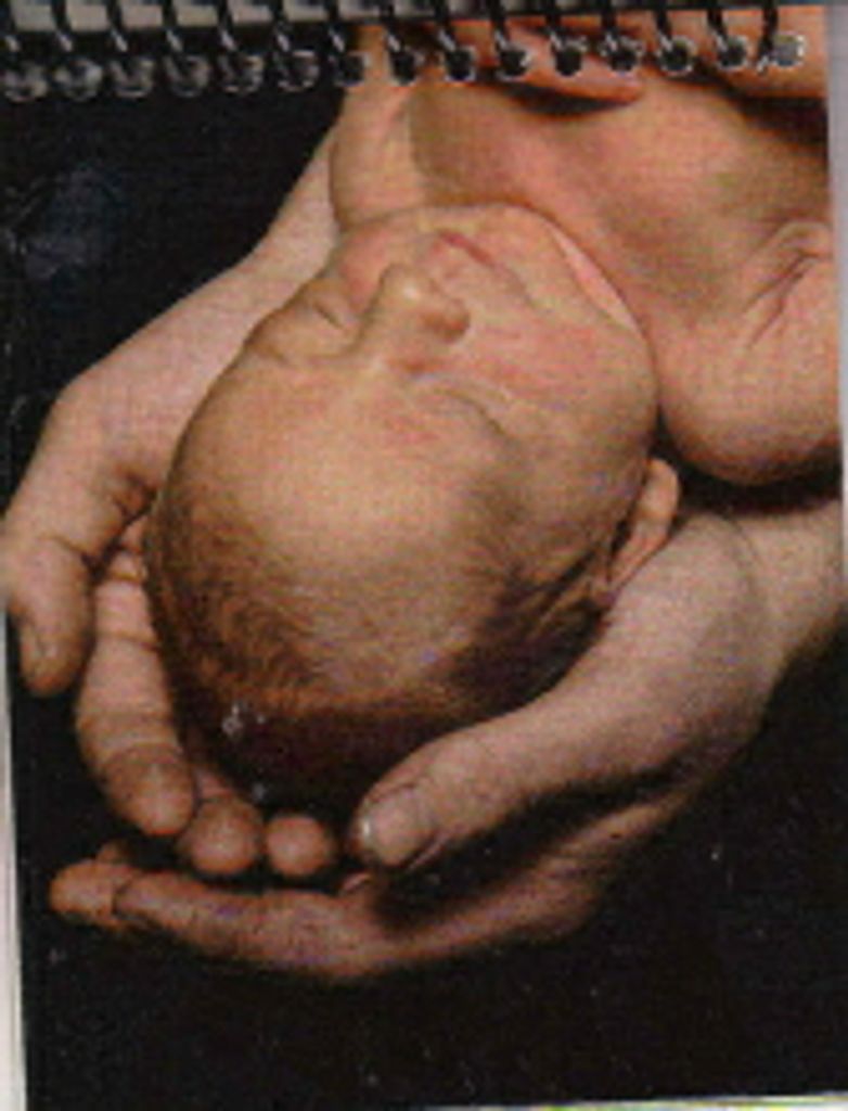 Infant Michael Riley CHISNELL