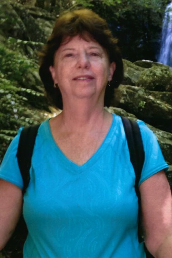Lynn Sue Cook