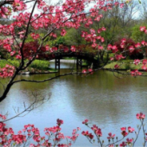 Mary Elizabeth Grider photo gallery thumbnail 1 of 1
