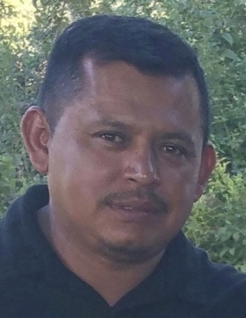 Mr. Sergio Nava Castillo