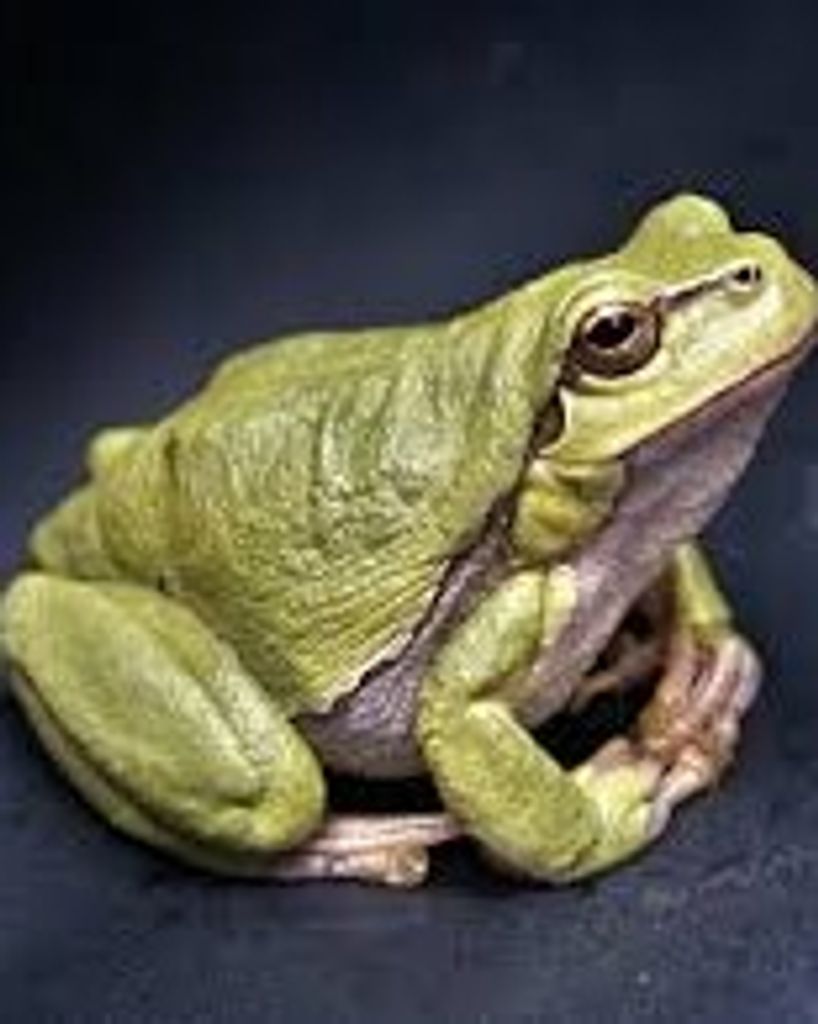 Doris E. Sheesley Profile Photo