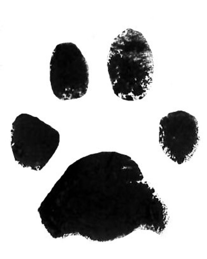 Ozzy Fowler Profile Photo