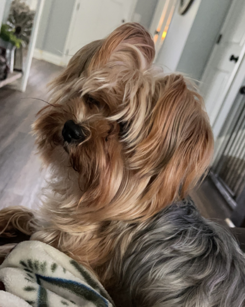 Roscoe Sheppard Profile Photo