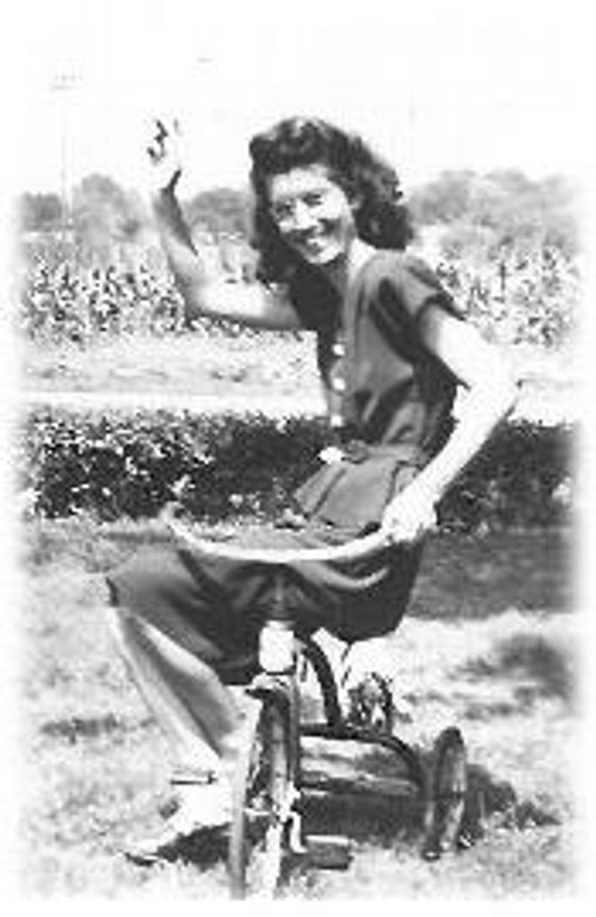 Sylvia Laverne Draine