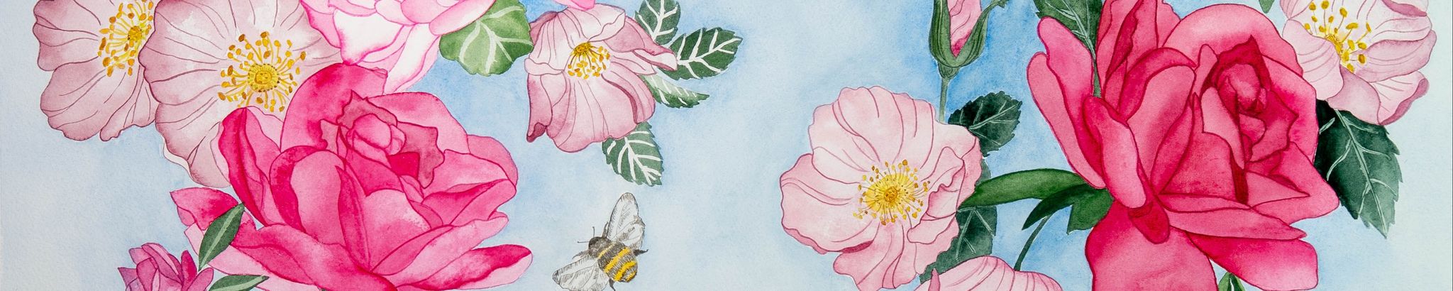 Cover photo for Donna June Steele's Obituary