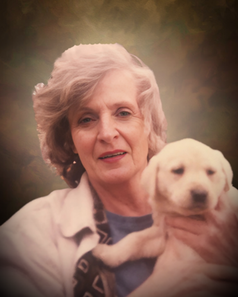 Susan Lynn Novak Profile Photo