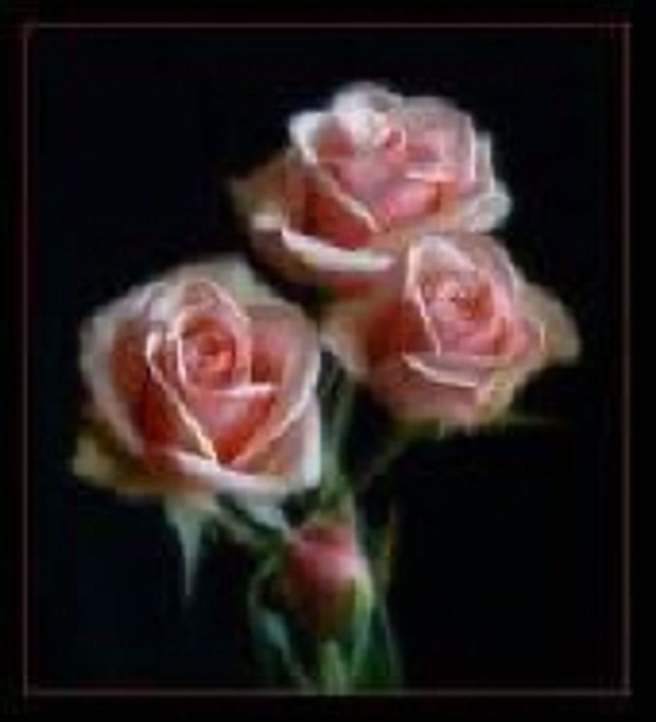 Donna Leclair