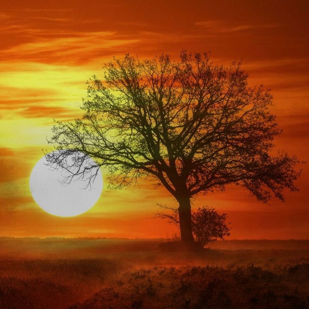 William Elia Profile Photo