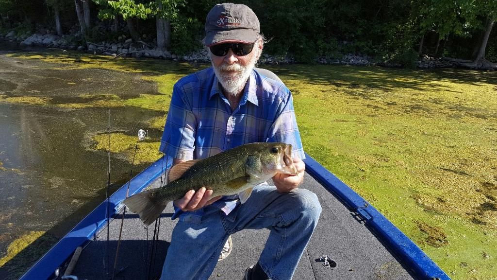 Robert Michael "Rob" Rutter