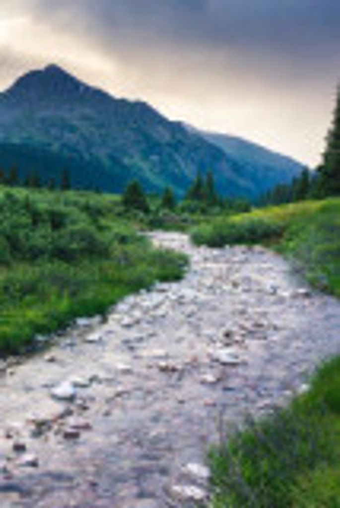 Bradley  Lee Swinford  Sr. Profile Photo