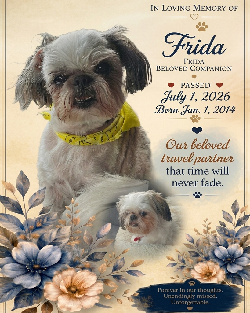 Frida Profile Photo