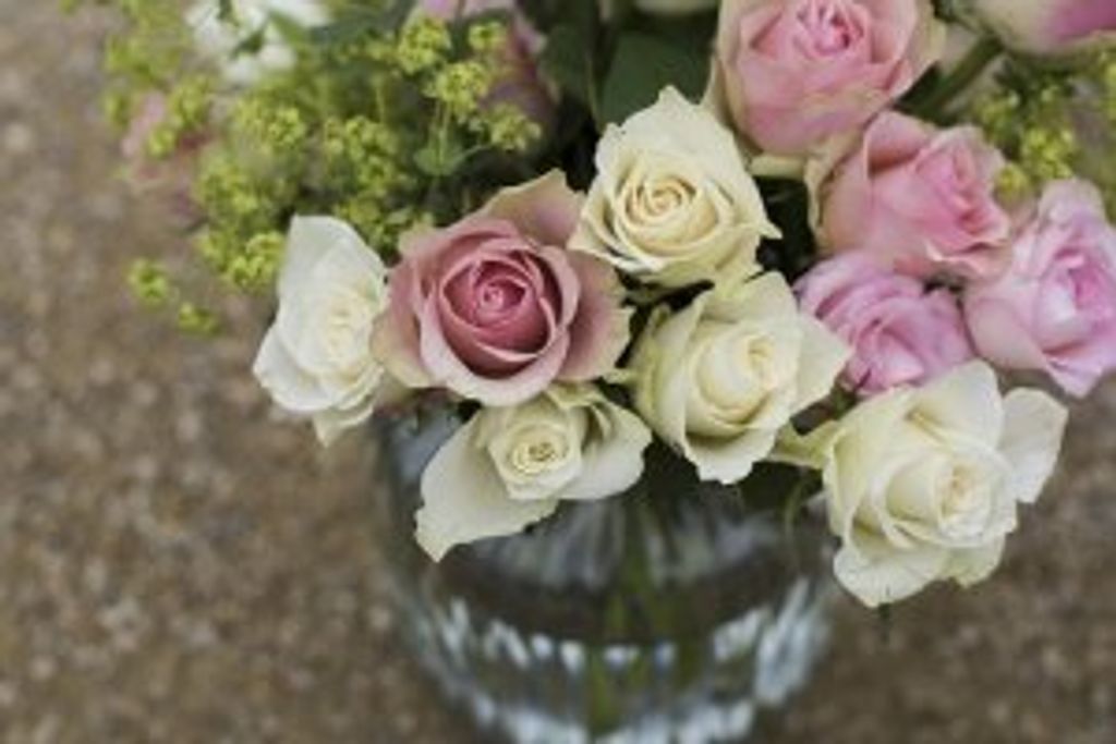 Corinne D. O'Leary