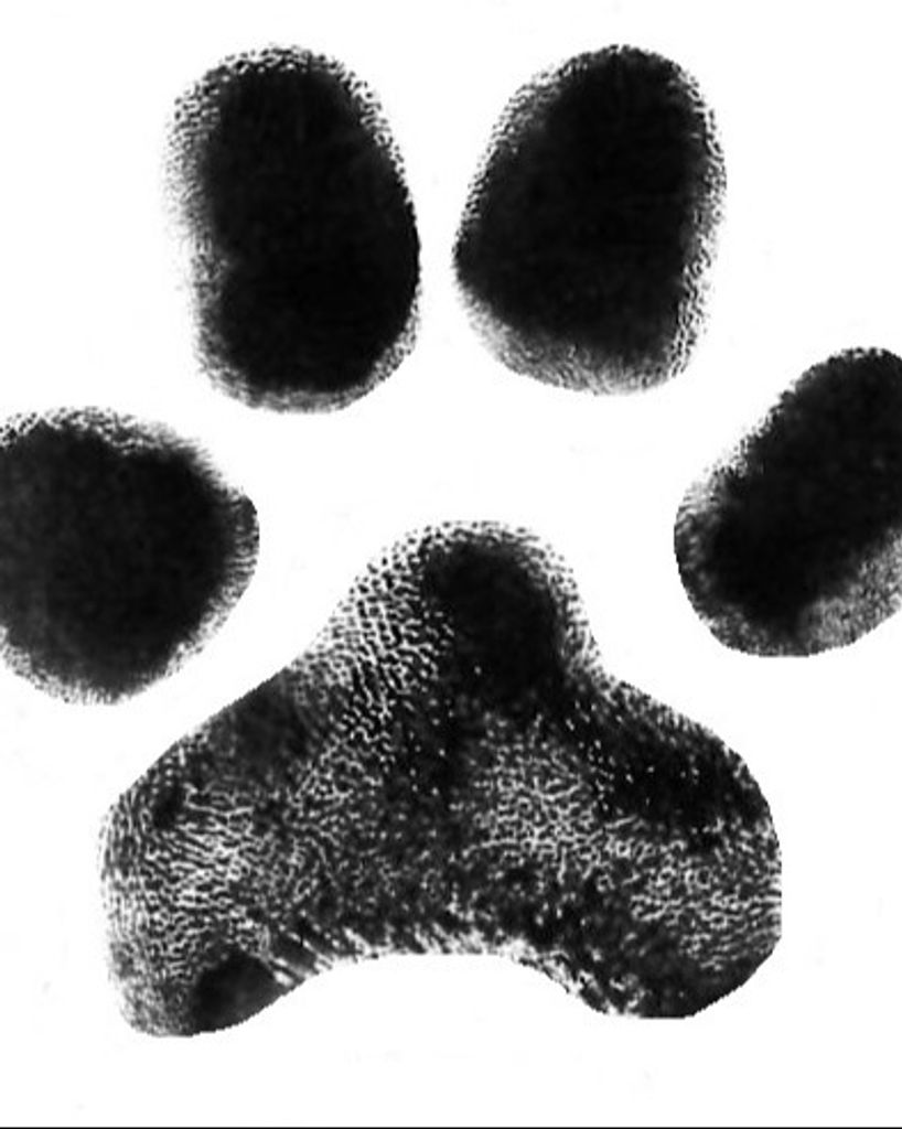 Roscoe Berube Profile Photo