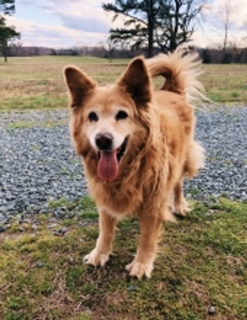 Cookie  Taylor Profile Photo