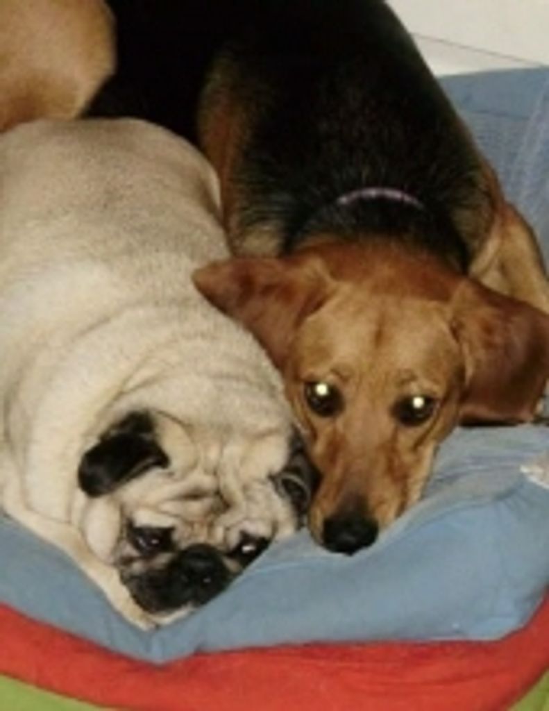 Jake & Harley Hoderny