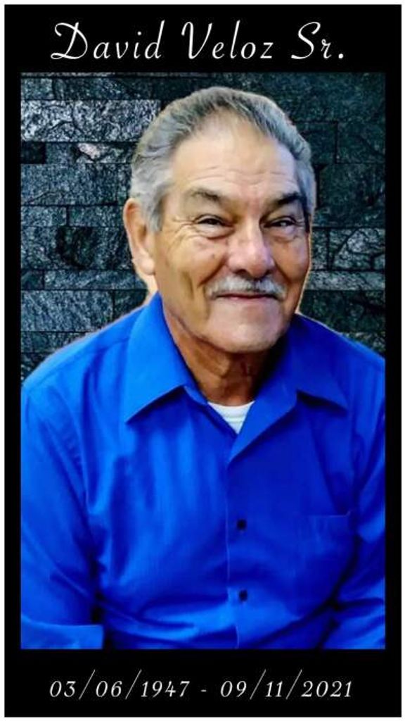 David Veloz Profile Photo