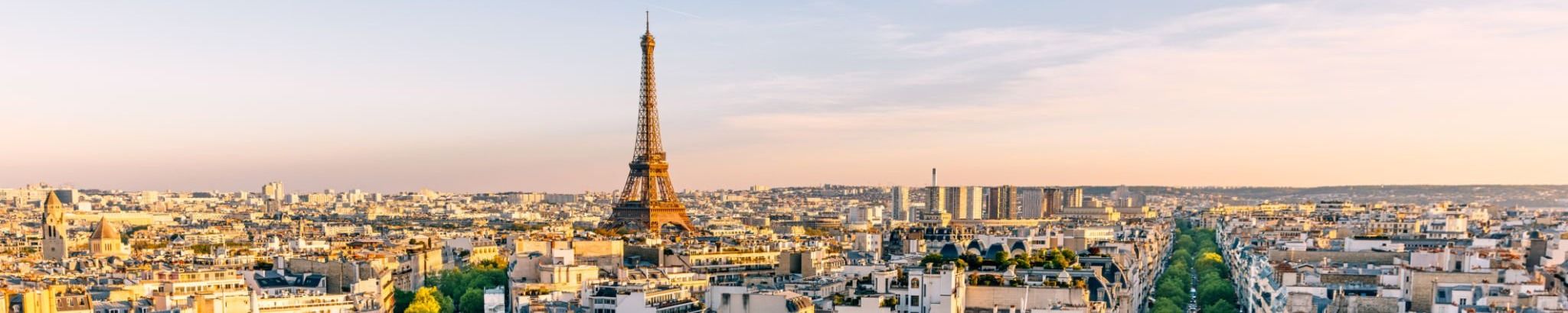 Cover for Dr. Barbara Anne DeConcini's Obituary