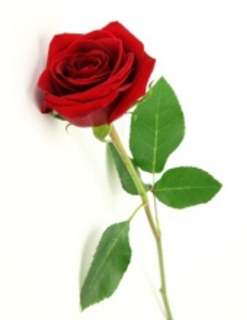 Dorothy L Walls -Glbfh