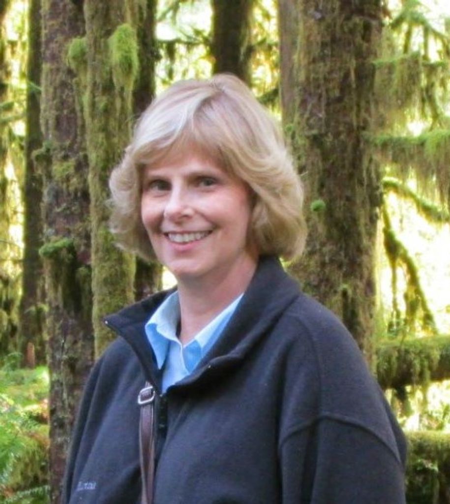 Jean P. Mulvihill