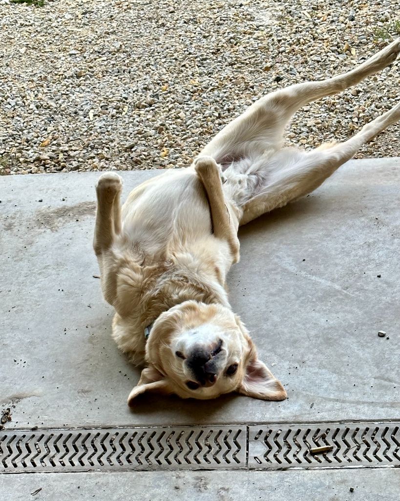 JD Estrem Profile Photo