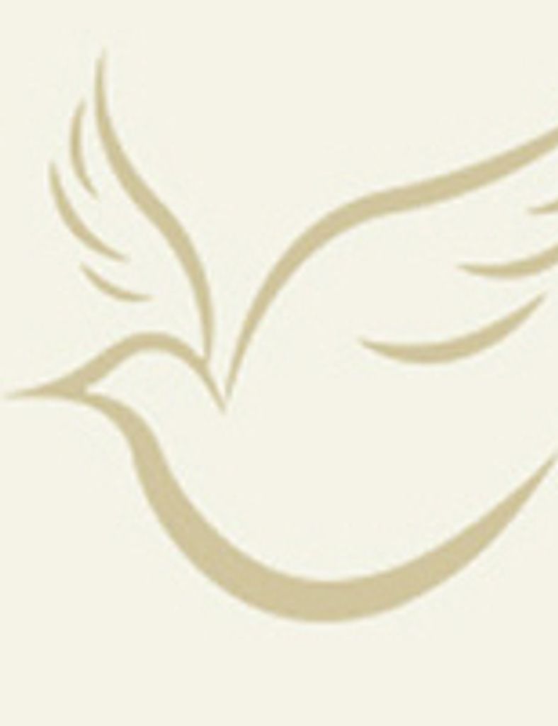 Donna Plaugher Profile Photo