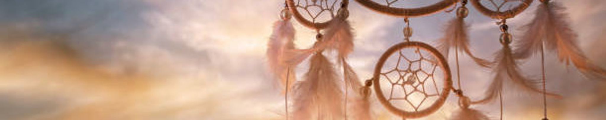 Cover for Andrew D. Webster's Obituary