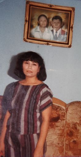 Hermelinda Tabarez Guajardo photo gallery thumbnail 7 of 195