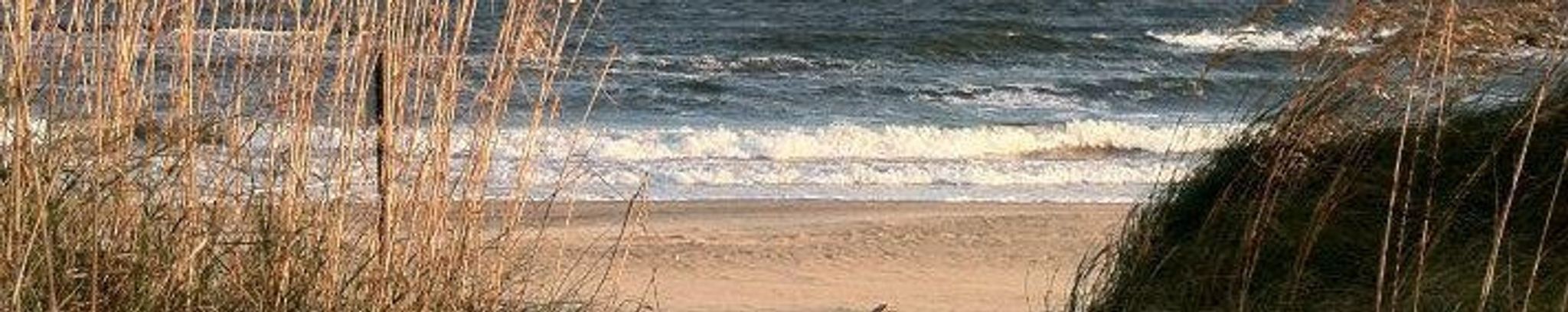 Cover photo for Mary Lou Kiernan's Obituary