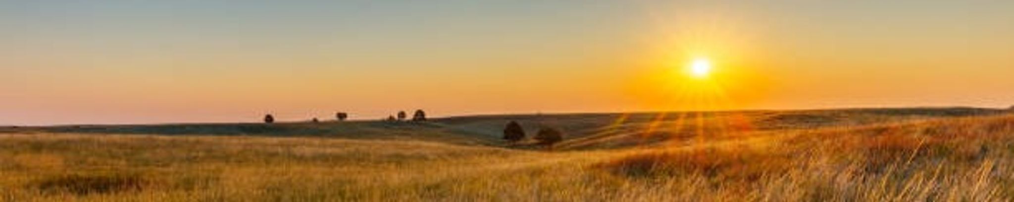 Cover for William Grosjean's Obituary