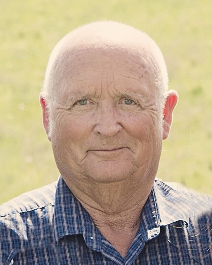 Mike Forsyth Profile Photo