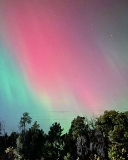 AnnaMarie Read's obituary image