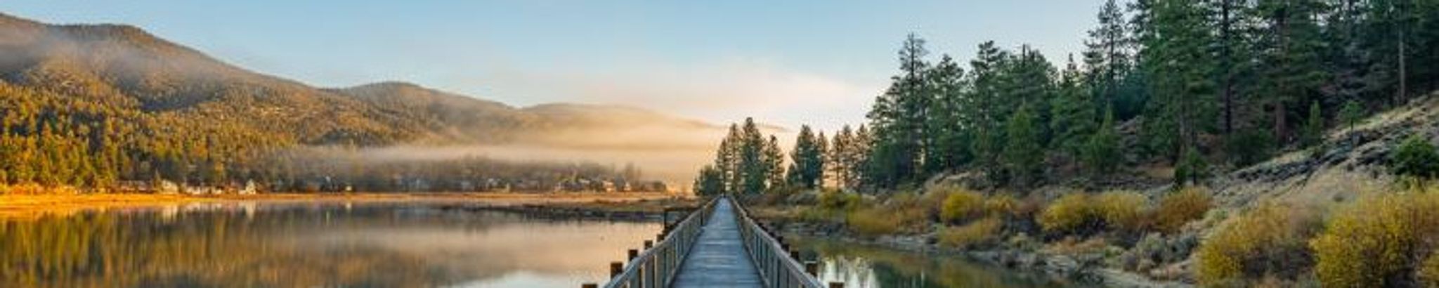 Cover for George M. Behrens's Obituary