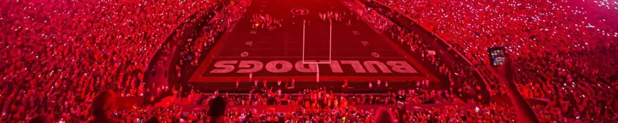 Cover for Gayle Gronefeld's Obituary