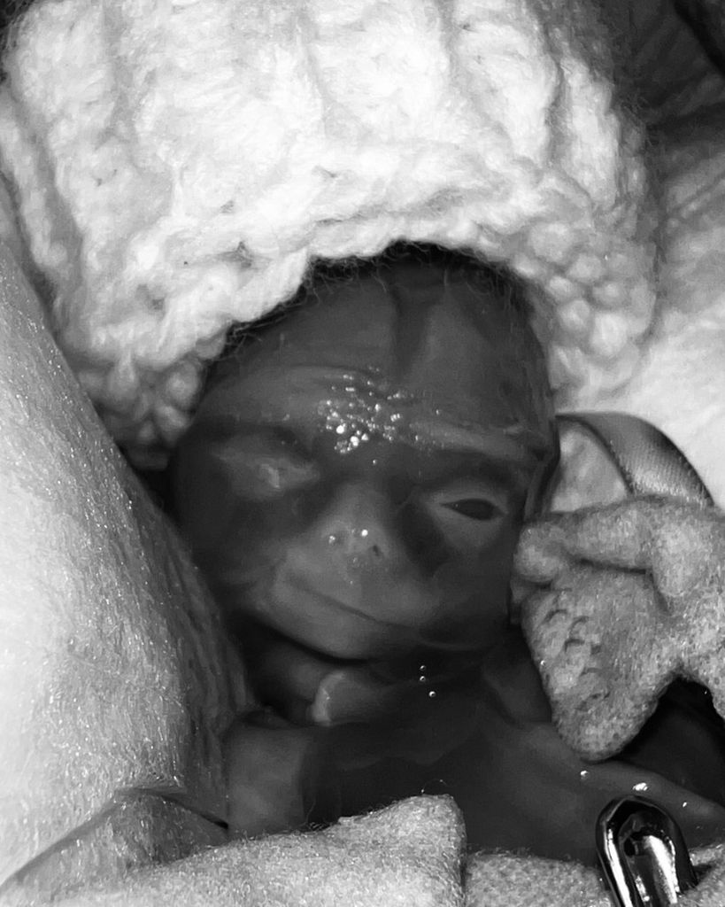 Maverick Benjamin Gryffin Elkins