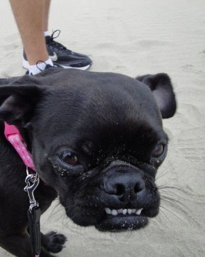 Abbey's obituary image