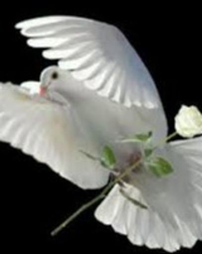 William l. Finney's obituary image