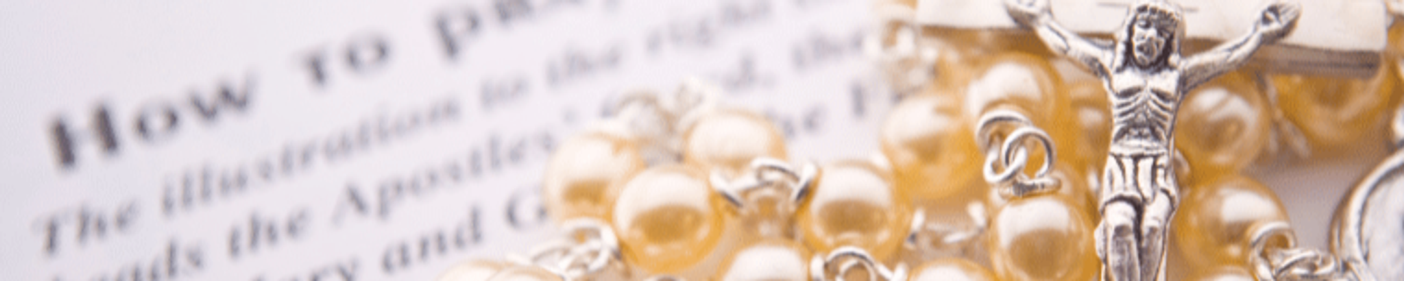 Cover for Amelia Trepiccione's Obituary