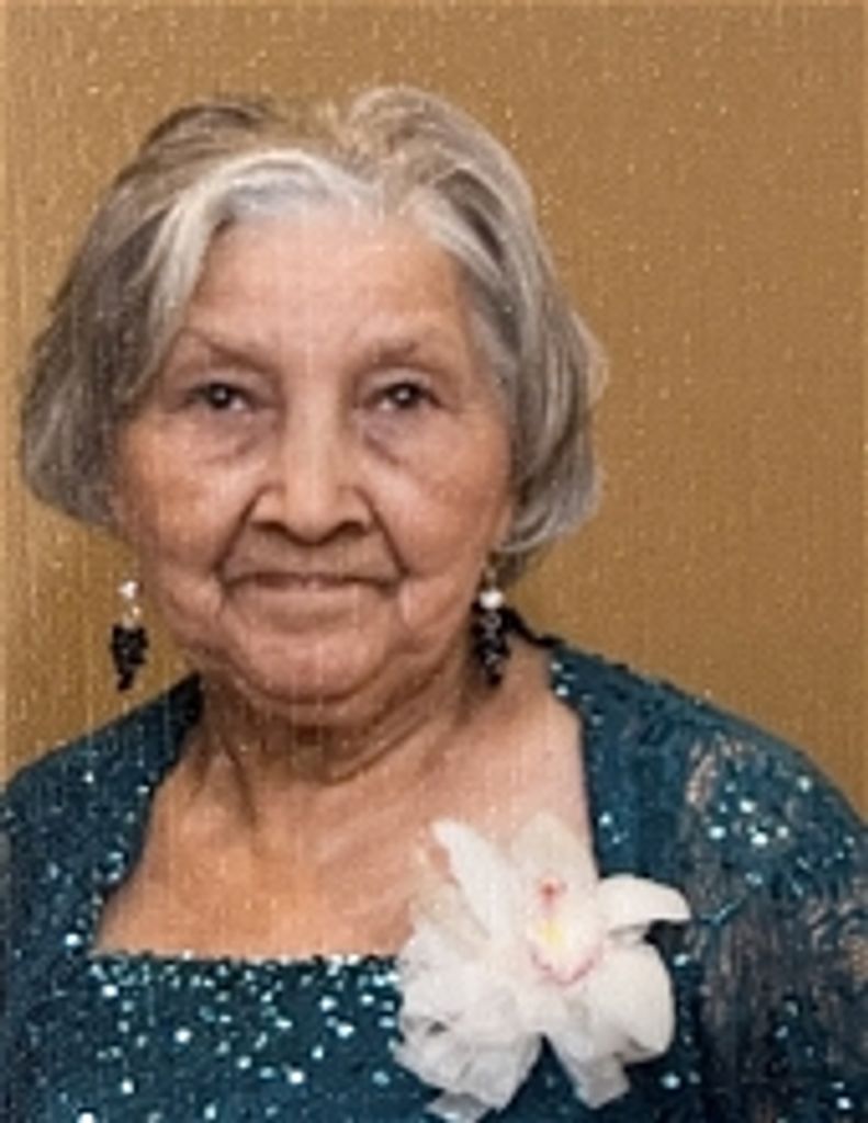 Domingas Rodrigues Monteiro