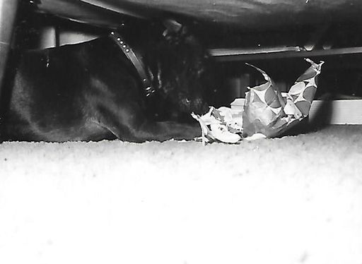 Linda L. Dilling photo gallery thumbnail 14 of 79