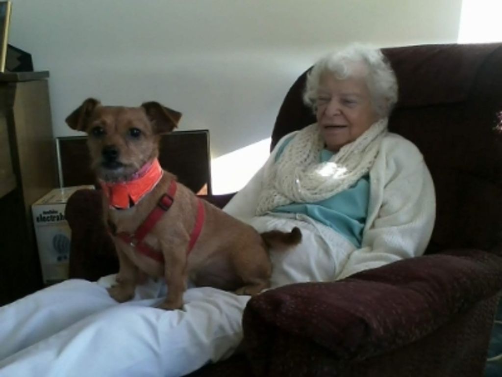 Elaine Bernice Tinch