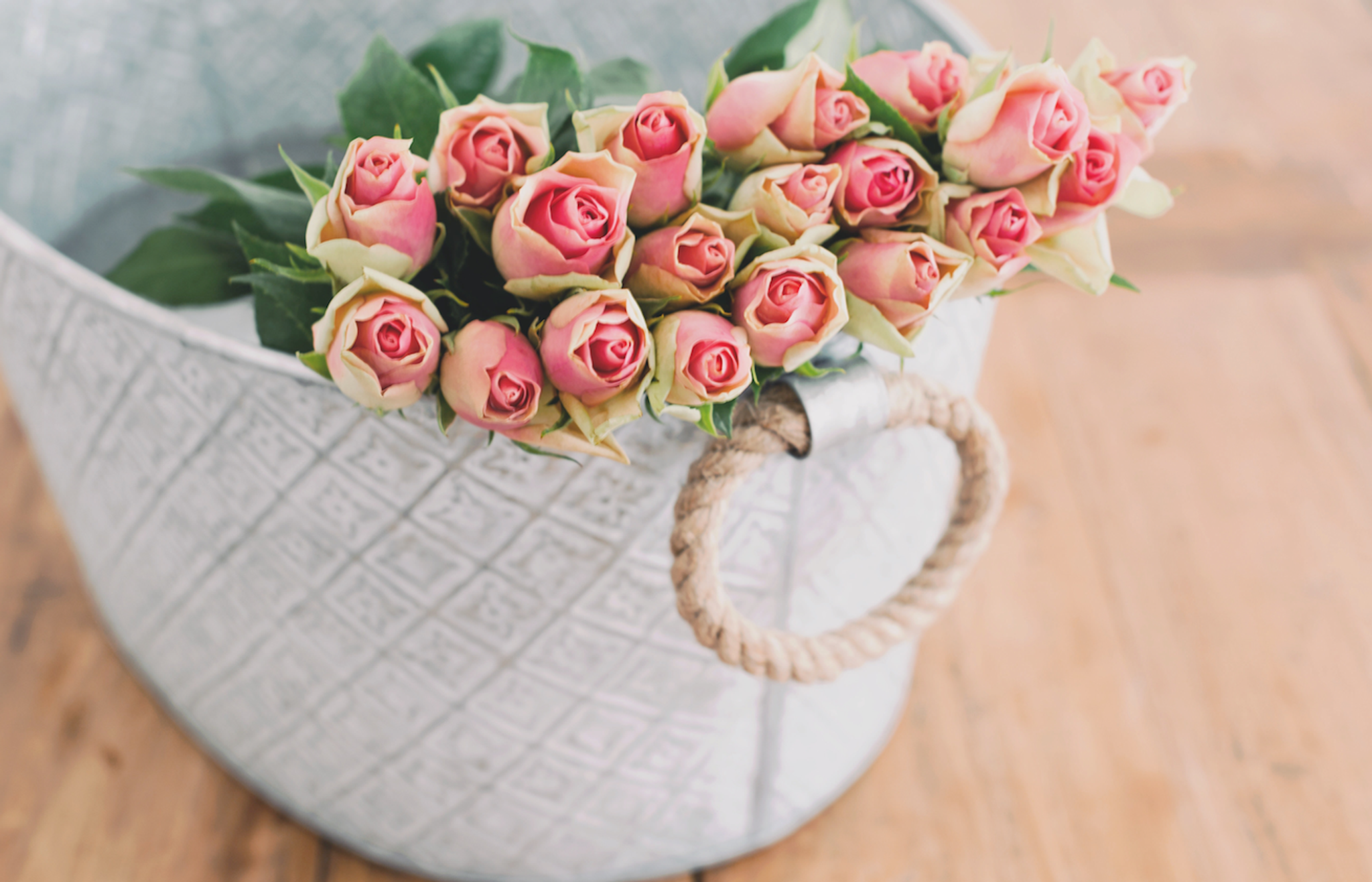 Cover photo for Nancy Kay Petersen's Obituary