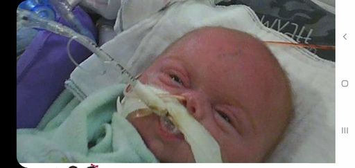 Wyatt Dean Kinsey photo gallery thumbnail 23 of 152