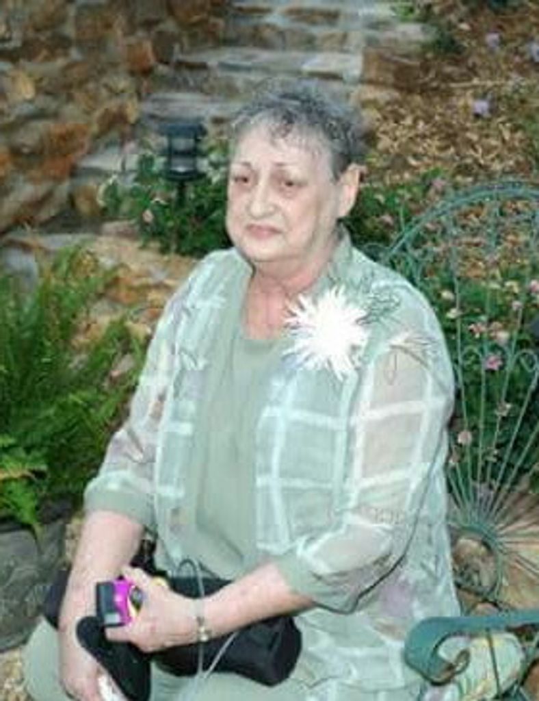 Nancy Carol (Sanders)  Loudermilk