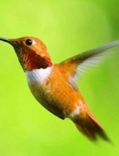 Elizabeth Hayes 'Betty' Doyle Profile Photo