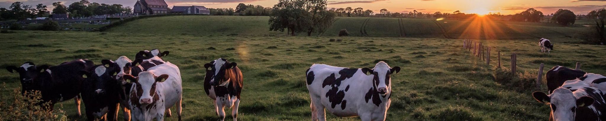 Cover for James "Jim" A. Badtke's Obituary